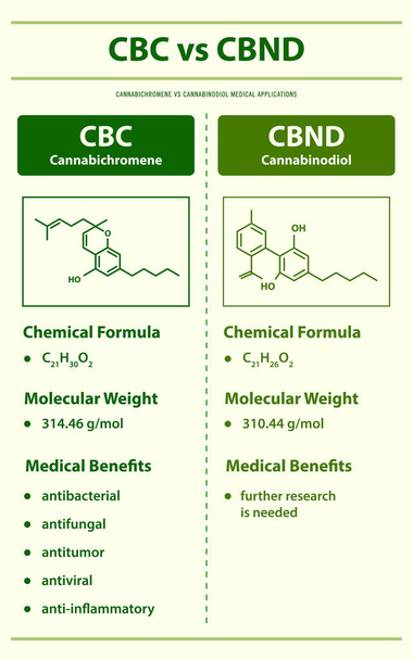 CBC vs CBND, Cannabichromene vs Cannabinodiol vertical infographic illustration about cannabis as herbal alternative medicine and chemical therapy, healthcare and medical science vector. - ベクター画像