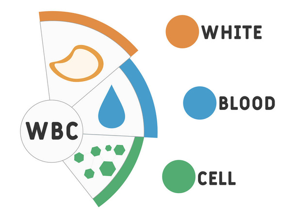 WBC - White Blood Cell acroniem. medische concept achtergrond. vector illustratie concept met trefwoorden en pictogrammen. illustratie met pictogrammen voor webbanner, flyer, landingspagina - Vector, afbeelding