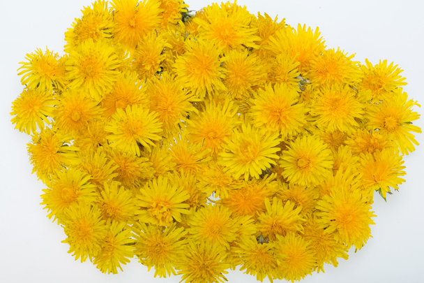 Lindas flores amarelas de dente de leão
 - Foto, Imagem