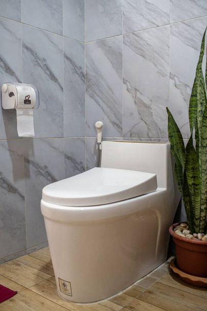 Modern tuvaletteki su deposu. Süslü yılan bitkisi de var.. - Fotoğraf, Görsel