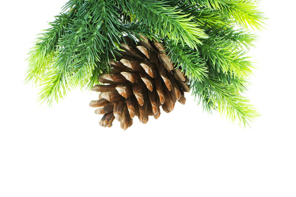 Christmas decoration on the tree - Photo, Image