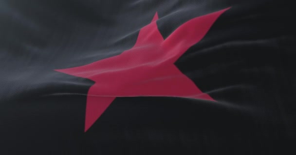 Σημαία του Ζαπατιστικού Στρατού Εθνικής Απελευθέρωσης, που κυματίζει με τον άνεμο, αργά. Βρόχος - Πλάνα, βίντεο