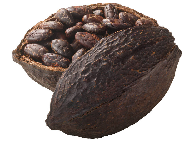 Felezett kakaóhüvely egész fermentált kakaóbabbal (Theobroma cacao fruit w seed) izolálva - Fotó, kép