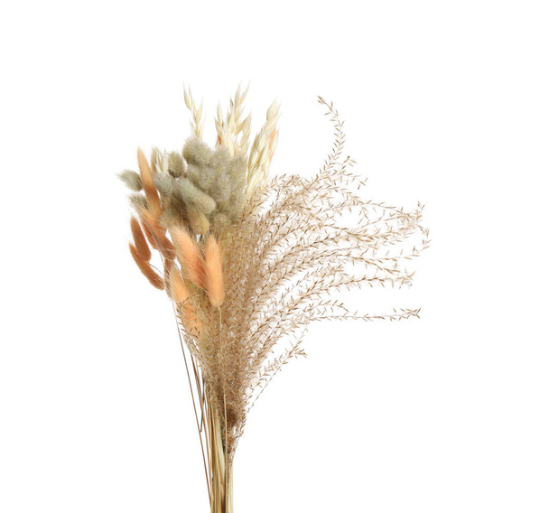 Bouquet of dried flowers on white background - Φωτογραφία, εικόνα