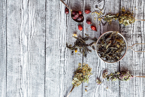 Διάφορα βότανα τσάι επιλεκτική εστίαση. Chamaenerion, χαμομήλι, τριαντάφυλλο γοφούς, Origanum και Filipendula σε γκρι ξύλινο ταμπλό με χώρο αντιγραφής. Φυσικά φαρμακευτικά βότανα. - Φωτογραφία, εικόνα