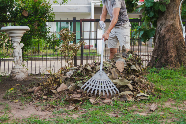 hombre uso grada recoger árbol de hojas en casa jardín para limpiar - Foto, Imagen