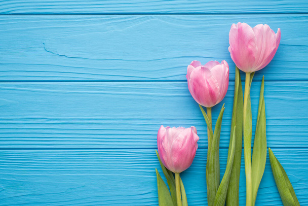 Nahoře nad plochou ležel nad hlavou pohled fotografie pastelových barevných tulipánů na zelené páře ležící na jasně modrém stole s prázdným prostorem pro textový design - Fotografie, Obrázek