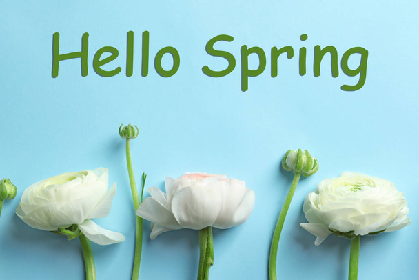 Hello Spring. Beautiful ranunculus flowers on light blue background, flat lay - Foto, Bild