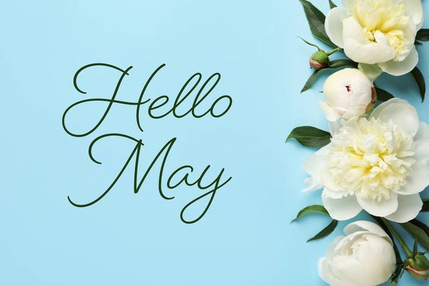 Hello May. Fragrant peonies on light blue background, flat lay  - Fotografie, Obrázek