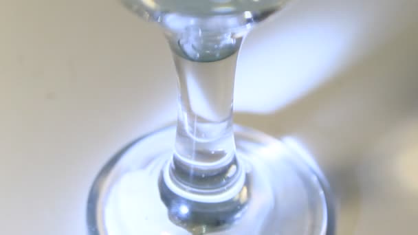 Wino butelkowane z kieliszkiem szampana na szarym tle - Materiał filmowy, wideo