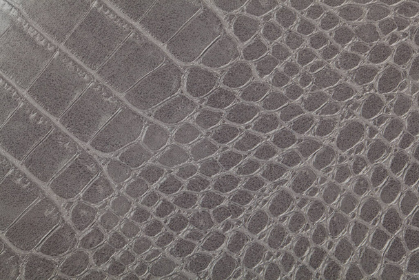 Texture di pelle di coccodrillo grigio come sfondo. Struttura della scala. - Foto, immagini