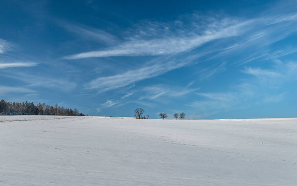 Czechy Środkowe między Benesovem a miastami Tabor w słoneczny zimowy, zimowy, piękny dzień - Zdjęcie, obraz