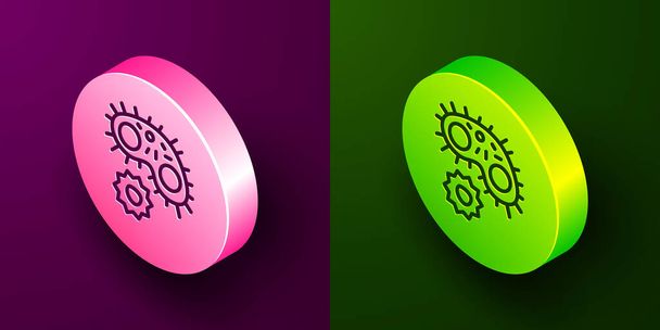 Isometric line Virus icon isolated on purple and green background. Corona virus 2019-nCoV. Bacteria and germs, cell cancer, microbe, fungi. Circle button. Vector. - Vector, Image