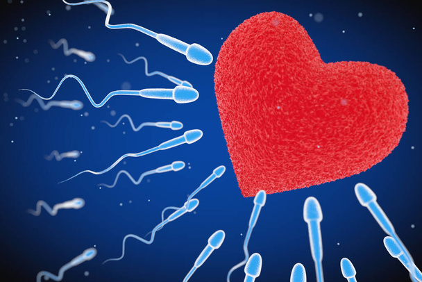Spermatozoon va a la Ovule en forma de corazón rojo de primer plano extremo. Renderizado 3d - Foto, Imagen