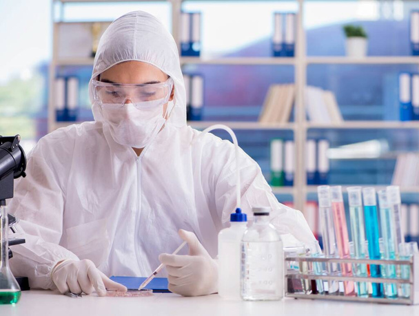 Chemist working in the lab - Photo, Image