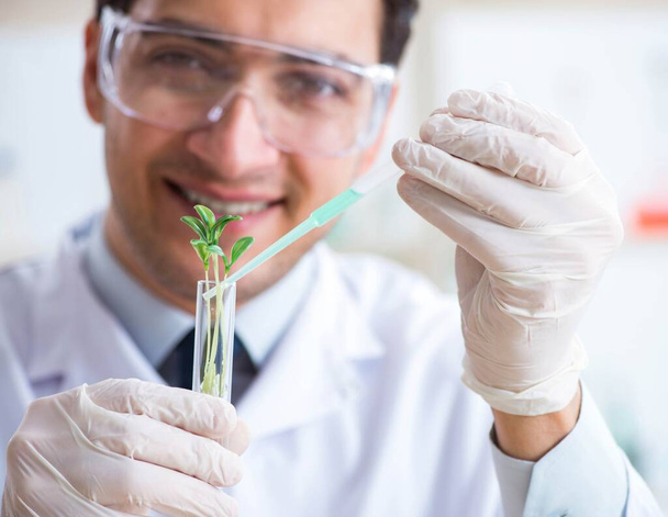 Male biochemist working in the lab on plants - Фото, зображення