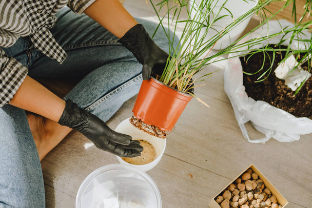 woman transplanting flowers in bigger pots at home. copy space - Foto, imagen