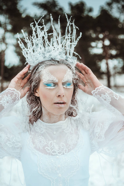 Stilisiertes Porträt einer schönen Frau mit Winter-Make-up - Foto, Bild