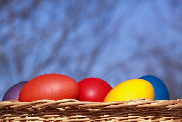 Цветные окрашенные пасхальные яйца в деревянную корзину украшения в рамках подготовки к празднику. Живопись курицы или утиных яиц является христианской традицией праздновать Пасху во всем мире. - Фото, изображение
