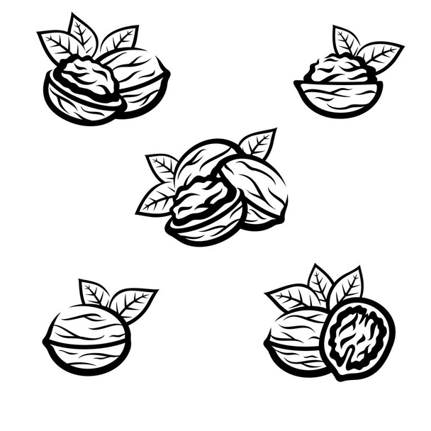 Walnut set. Collection icon walnut. Vector illustration - Vektör, Görsel