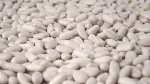 Bílé fazole padají na hromadu ve zpomaleném filmu s rotací. Luštěniny zavřít - Záběry, video