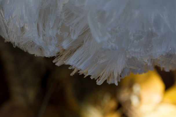Ice hair in the Dwingelderveld, the Netherland - Photo, Image