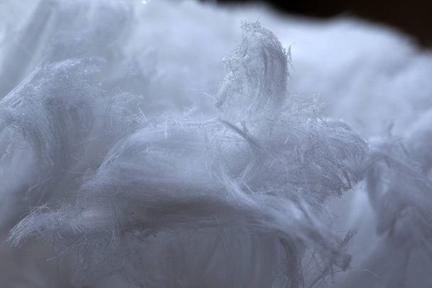 Cabello de hielo en el Dwingelderveld, Países Bajos - Foto, Imagen