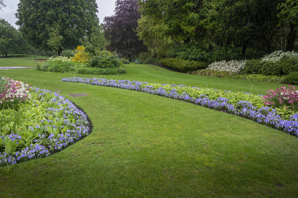Квіткові ліжка в Гайд-парку (Лондон). - Фото, зображення