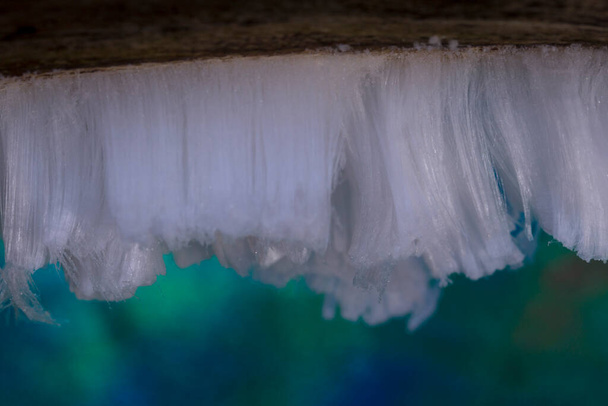 Ice hair in the Dwingelderveld, Hollandia - Fotó, kép