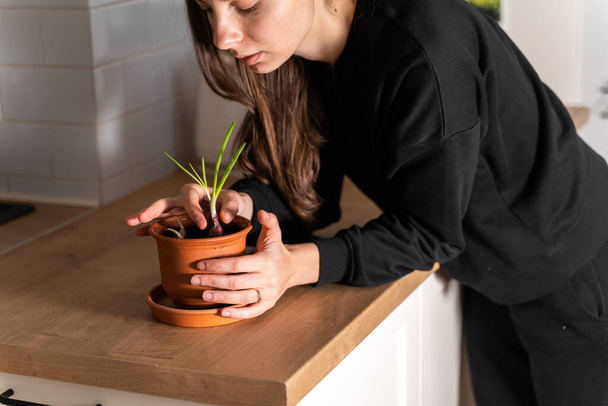 Millennial girl planting home garden in flat. Pot with onion and garlic herbs. Sustainable lifestyle. Zero waste. Clear non toxic food - Photo, image