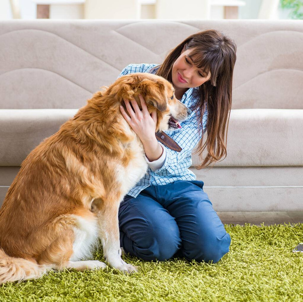 Femme heureuse propriétaire de chien à la maison avec golden retriever - Photo, image