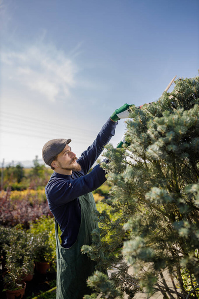 Prise de vue d'un jeune jardinier mâle en coupant ou tailler l'arbre en horticulture - Photo, image