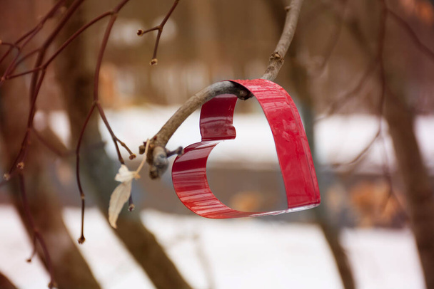 hartvormige koekjessnijder op boom met winterse sneeuwachtergrond. Selectieve focus. Hoge kwaliteit foto - Foto, afbeelding