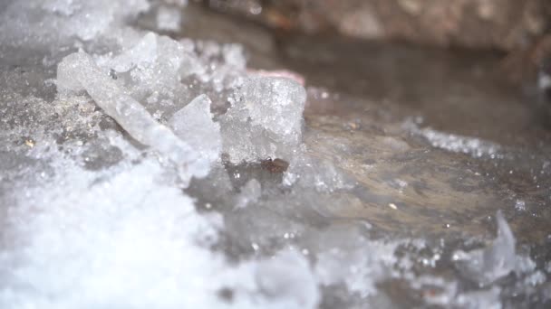 gotas de agua caen sobre el hielo, primavera en las montañas - Metraje, vídeo