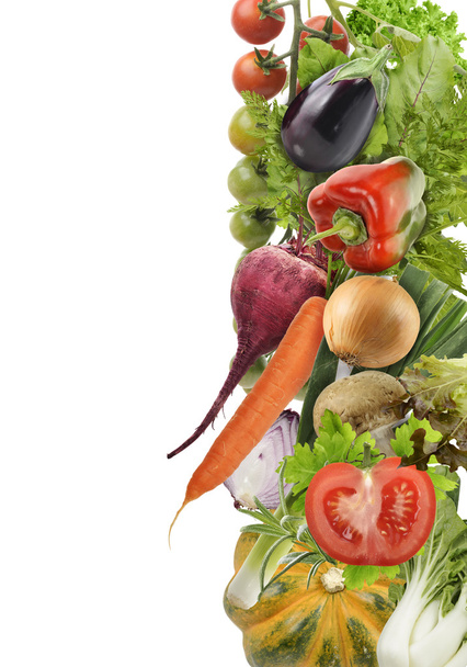 Recogida de verduras frescas
 - Foto, imagen