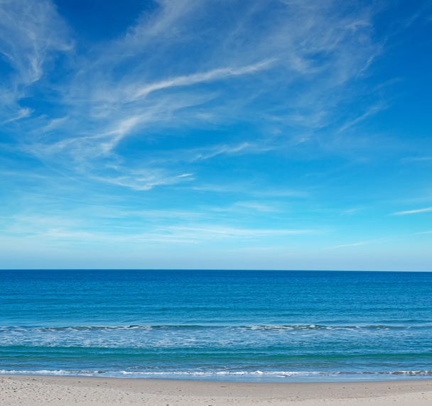 Sininen taivas rannalla
 - Valokuva, kuva