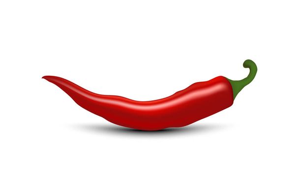 Red chili peppers on white background. Realistic style. Vector illustration - Vektor, Bild