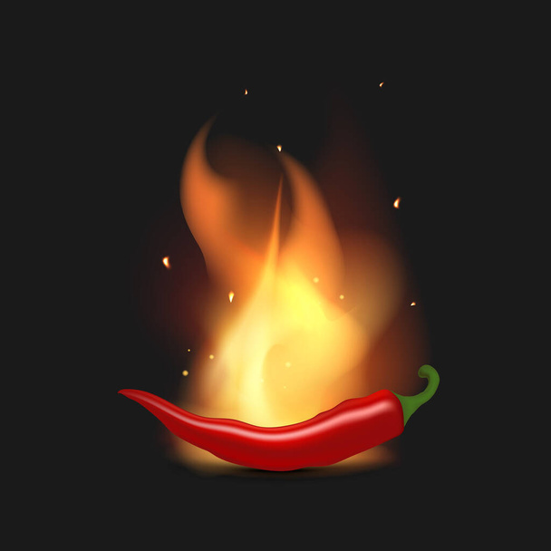 Rode hete paprika 's in brand. Chili pepers in vlammen. Realistische stijl. Vectorillustratie. - Vector, afbeelding