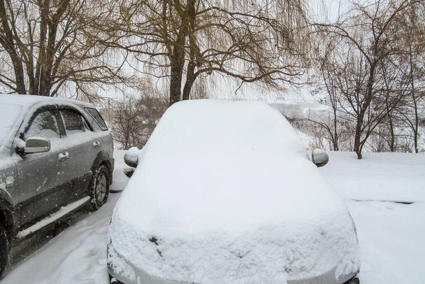 Samochody pokryte śniegiem na tle zarysu gołych drzew - Zdjęcie, obraz