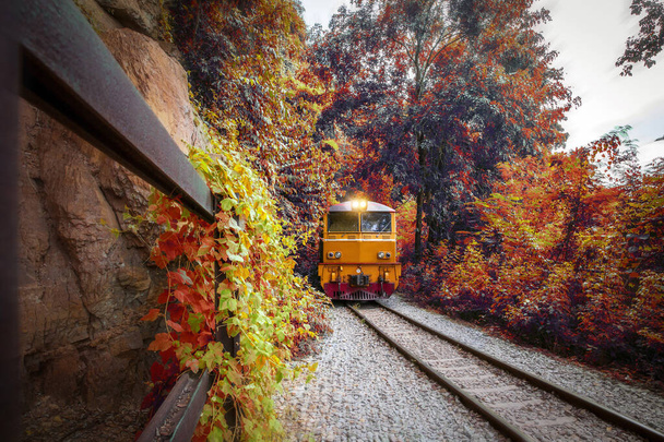 Дизельные электрические локомотивы процессионного поезда движутся по горам на изгибе и проплывают через железнодорожный вертолет с прекрасным видом на осенний лес - Фото, изображение