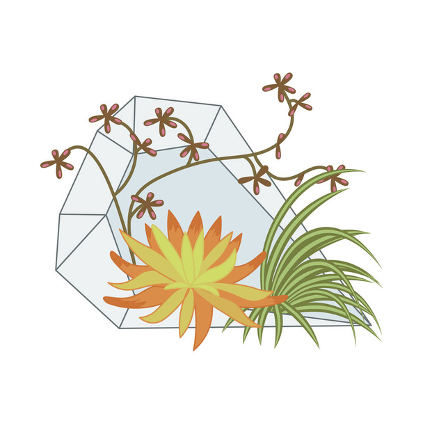 Sukulentna roślina w terrarium szklanym - Wektor, obraz