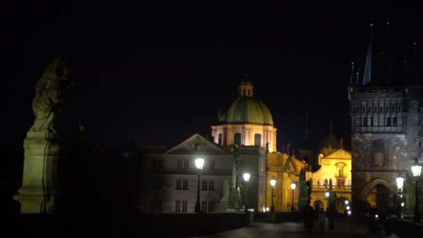 straatverlichting en beelden op de stenen Karelsbrug 's nachts en silhouetten van wandelende mensen op de brug' s nachts in het centrum van Praag en vogels in de lucht vliegen - Video