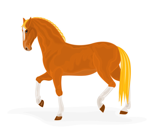 Соррельський кінь
 - Вектор, зображення