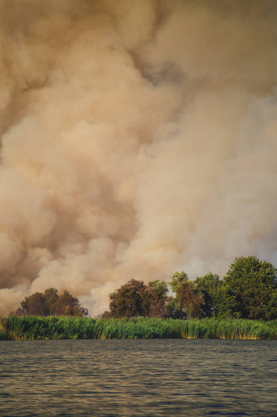 Μεγάλα σύννεφα καπνού, πυρκαγιά, φυσική καταστροφή, δασικές πυρκαγιές, οικολογική καταστροφή. - Φωτογραφία, εικόνα