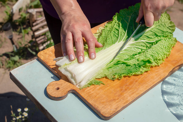 Im Sommer werden an der frischen Luft saftige Napa-Kohlblätter auf einem Holzschneidebrett in Stücke geschnitten. Frau bereitet bei Picknick frischen Salat zu - Foto, Bild