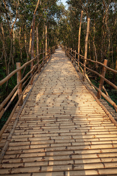 passarela feita com bambus em vietnam - Foto, Imagem
