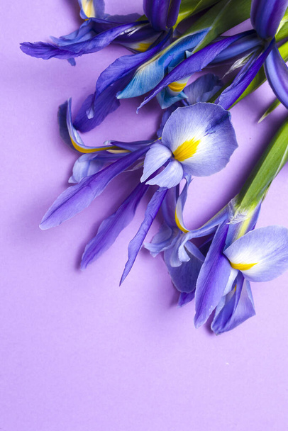 Flower background Blue lilies with copy space from above. Germanic iris. Flat lay - Φωτογραφία, εικόνα