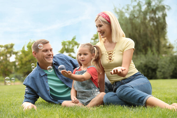 Happy family blowing soap bubbles in park on green grass - Foto, afbeelding