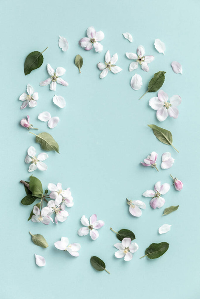 Frame with apple blossoms, spring flower background, top view, flat lay, frame - Foto, immagini