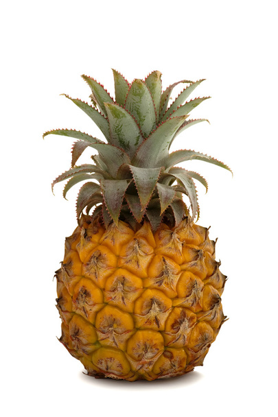 Pineapple - Foto, afbeelding